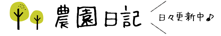 農園日記