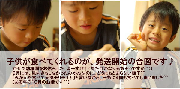 販売開始
