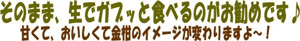 完熟金柑おすすめの食べ方