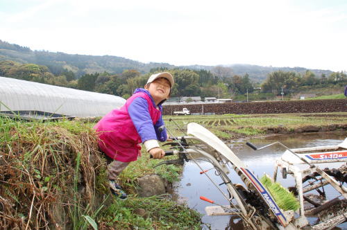 田植え中