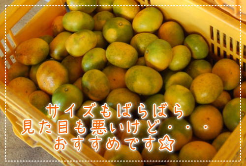 無選別