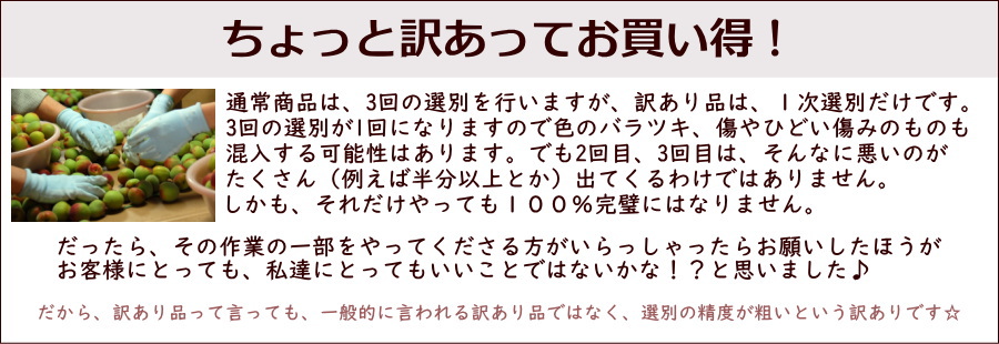 訳あり理由