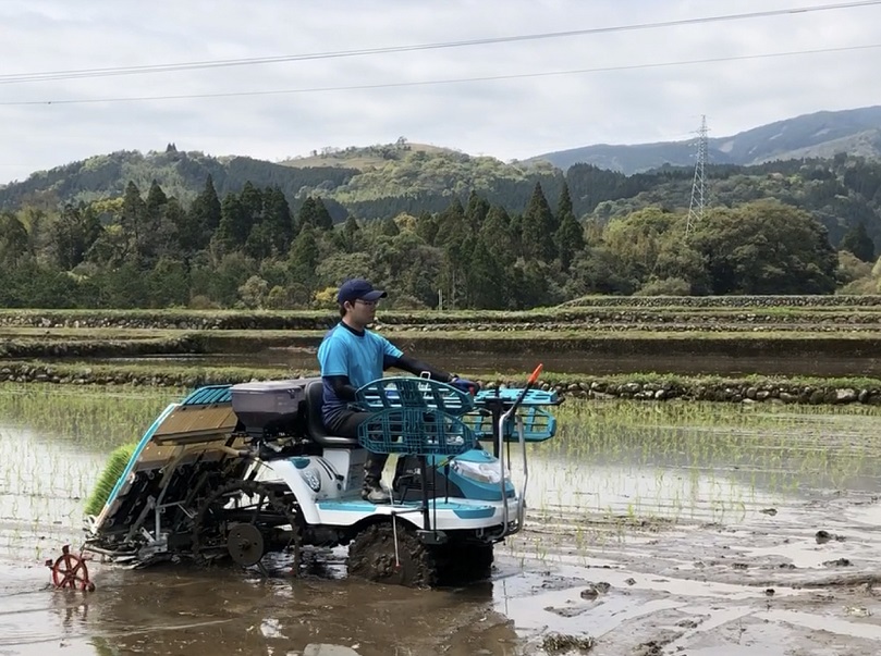 田植え中