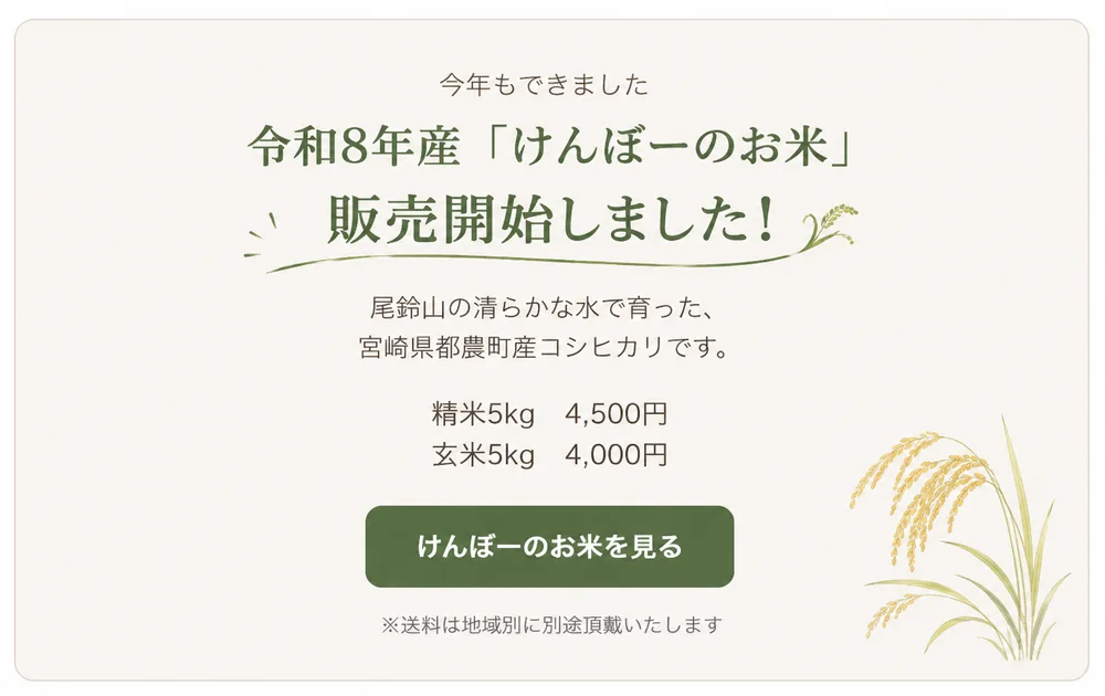 令和8年産けんぼーのお米 宮崎県都農町産コシヒカリ販売開始